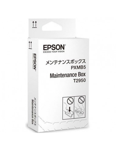 Caja de Mantenimiento EPSON WORKFORCE 100W