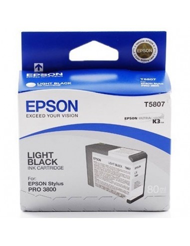 Cartucho de Tinta EPSON STYLUS PRO 3880 Gris