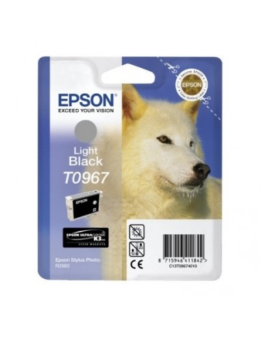 Cartucho de Tinta EPSON STYLUS PHOTO R2880 Negro Claro